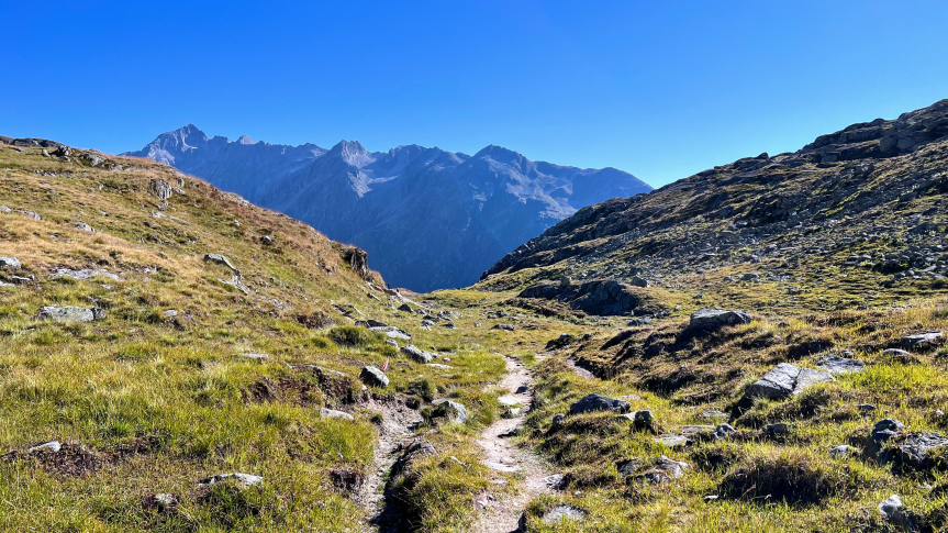 Swiss Alps 100 (50KM) – 2nd attempt